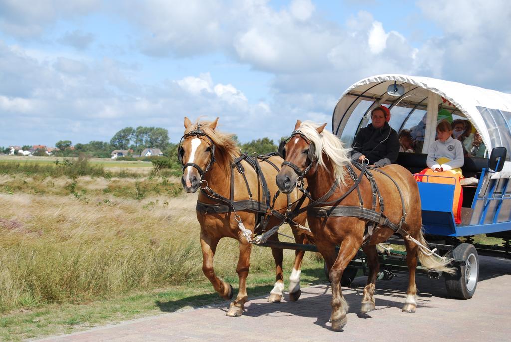 Doppelhaushaelfte In Vitte Auf Hiddensee Exterior photo